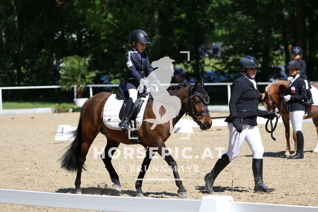 0P6A0229 | Willkommen bei Brunnmayr - Design & Fotografie – Ihrem Spezialisten für Reitturniere und Pferdeveranstaltungen in Oberösterreich, Salzburg und Bayern! Seit über 17 Jahren sind wir leidenschaftlich dabei.