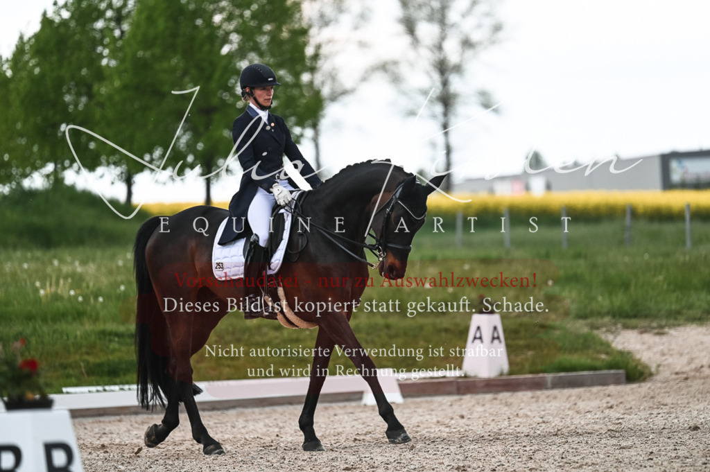 20230514_JK-Röhrsdorf-21-312 | Pferde- und Turnierfotografie in Westsachsen. Pferdeportraits, Auftragszeichnungen und intuitive Kunst.