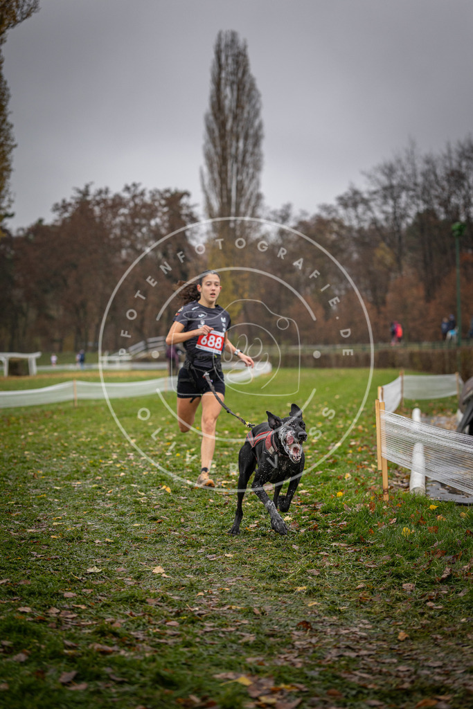 CaniXpix_DV3A9080 | Hundefotografie, Tierfotograf, Pfotenfotografie, Fotoshooting Hund, Hunde Portrait, Hundesport, Hundeportraits, Heideshooting, Hunde, Sportfotograf, Hundefotograf, Turnierhundsport, THS,  - Realisiert mit Pictrs.com