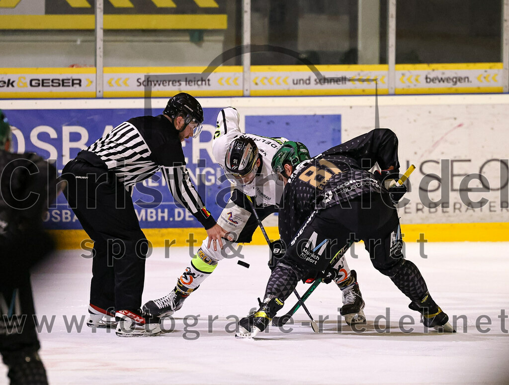 2024-02-16_042_TSV_Erding_gegen_ERSC_Amberg | Erding, Deutschland, 16.02.2024:
Eishockey, Bayernliga Playoffs 2023 / 2024, 1. Spieltag, TSV Erding gegen ERSC Amberg, Endergebnis: 1:2

Maximilian Forster (Erding Gladiators, #81)

Foto: Christian Riedel / fotografie-riedel.net