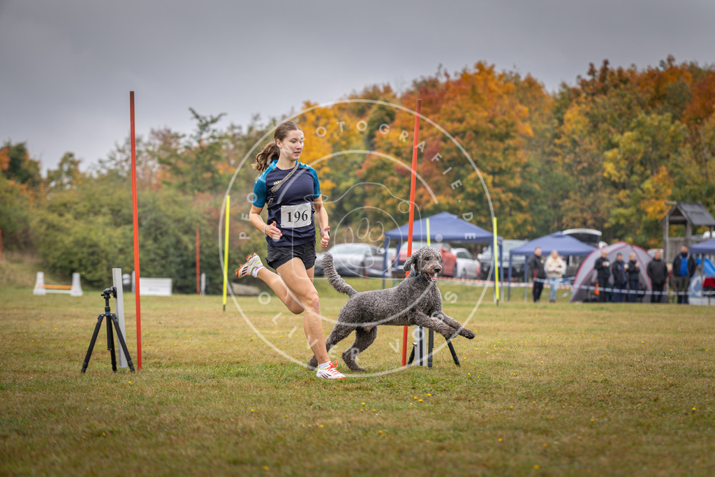 Pfotenfotografie_DV3A1066 | Hundefotografie, Tierfotograf, Pfotenfotografie, Fotoshooting Hund, Hunde Portrait, Hundesport, Hundeportraits, Heideshooting, Hunde, Sportfotograf, Hundefotograf, Turnierhundsport, THS,  - Realisiert mit Pictrs.com