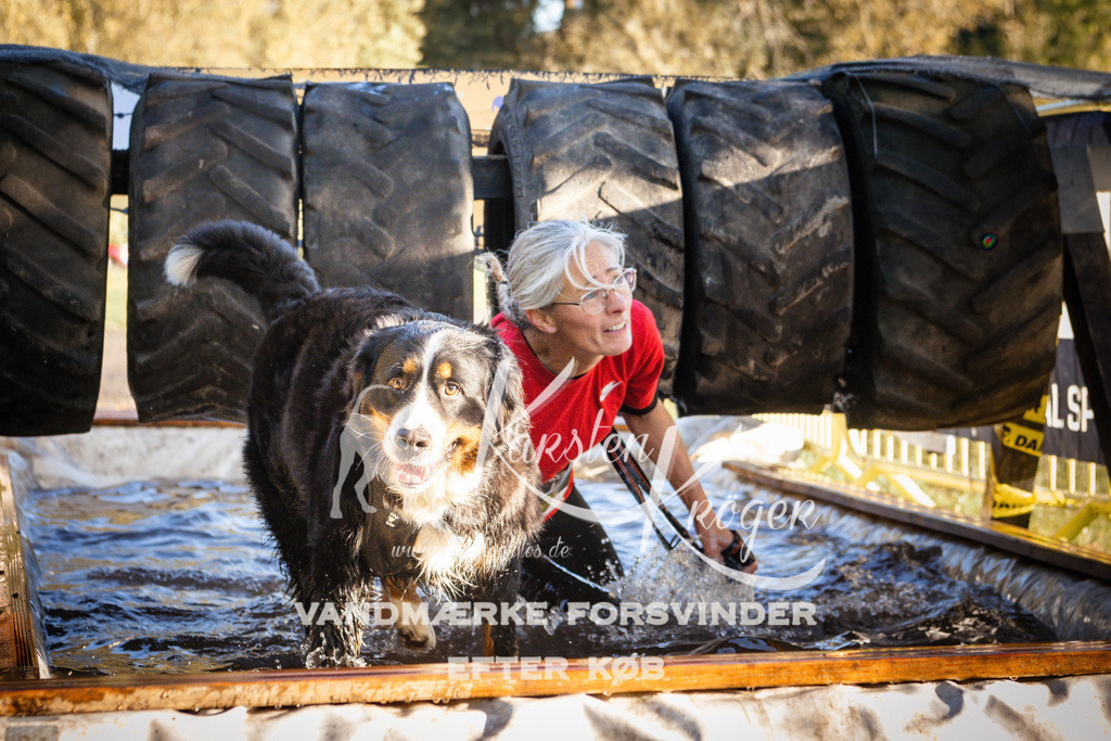 0923_ZZ90813 | kk-dogfotos