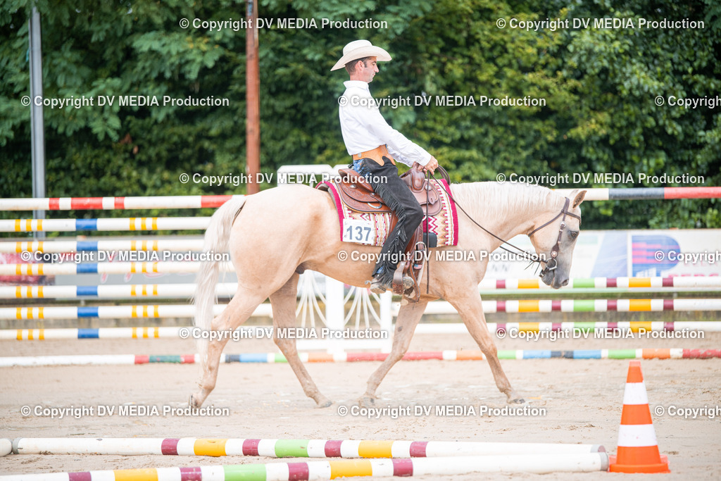 ZS2_3906 | dv-media-shop - Realisiert mit Pictrs.com