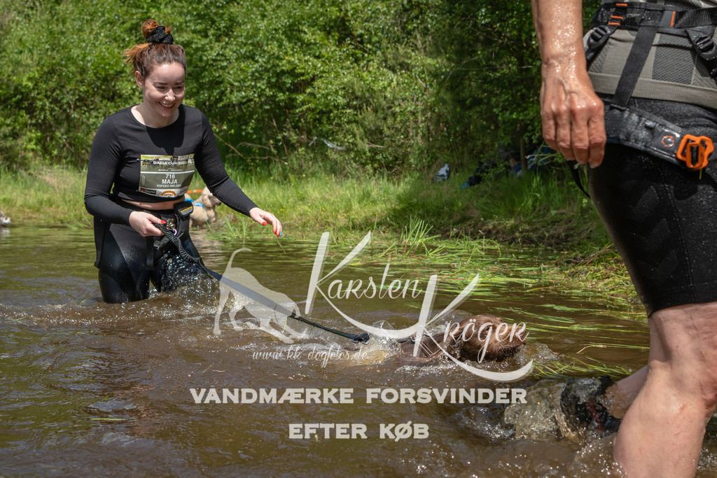 1217DKK992427 | kk-dogfotos