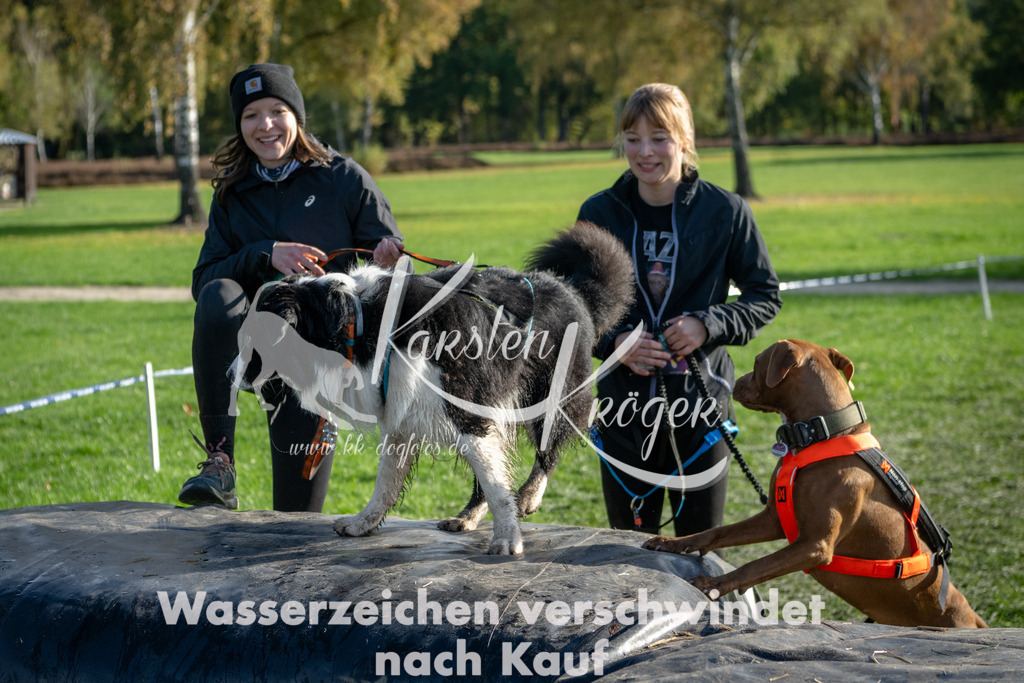 1052_ZZ91617-2 | kk-dogfotos