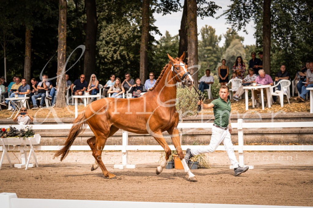 4.Fr00146 | Leoni Ertmer Photography - Realisiert mit Pictrs.com