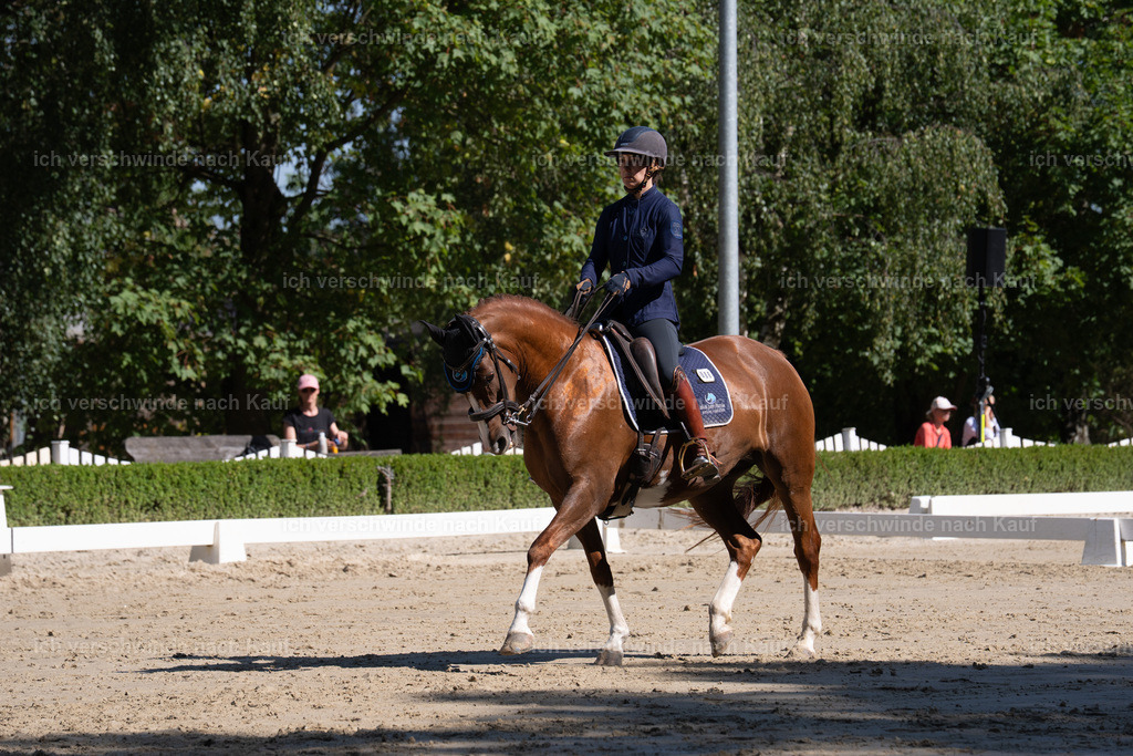 WL_DR_86_sinafilmart_IN06917 | working equitationturnier fotograf videograf stoibphotography marixx film working equitation deutschland reitsport turnierfotografie eventfotografie equestrian events