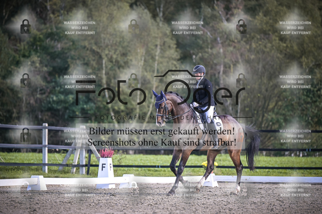 DOS_4779 | Entdecke hochwertige Reitturnierfotos von Foto Oger. Professionell, emotional und authentisch – jetzt Lieblingsmomente im Shop bestellen.Deutschlandweite Turnierfotografie. - Realisiert mit Pictrs.com