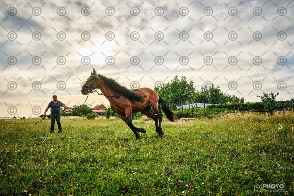 081_202406_Niki-Herodes_NZ9_9798 | proPHOTO - Realisiert mit Pictrs.com