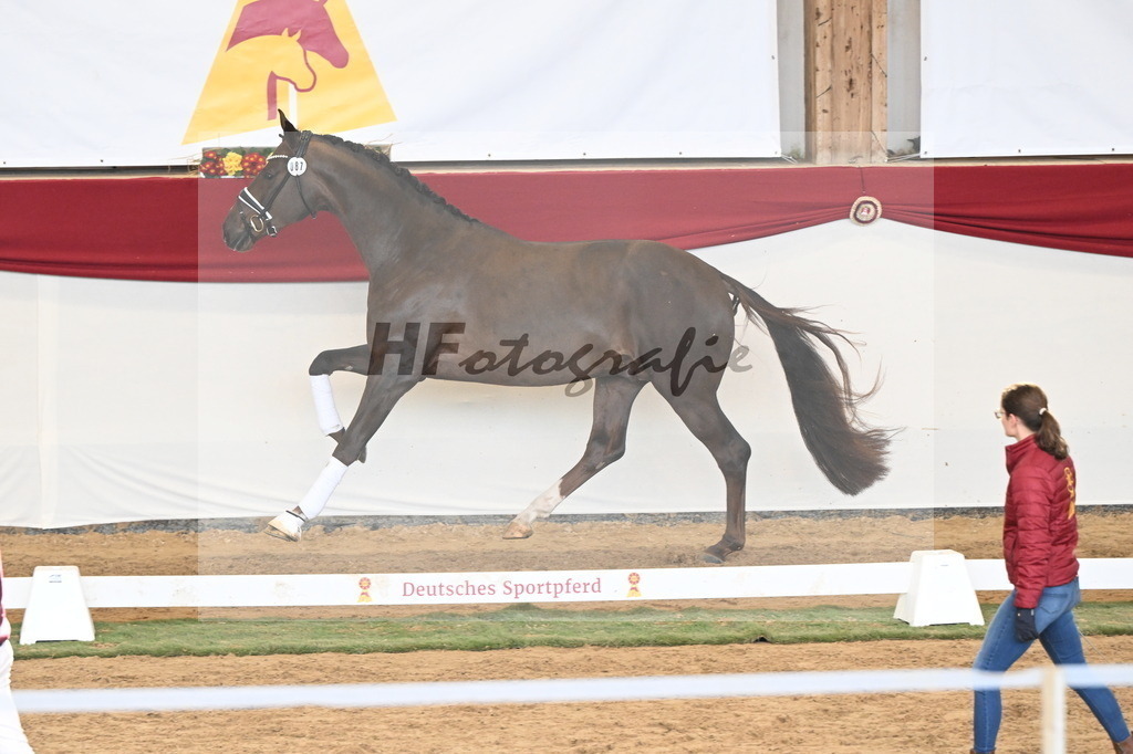 Kat.-Nr. 87 v. Vitalis_Kühnle_3261293 | hf-fotografie - Realizzato con Pictrs.com