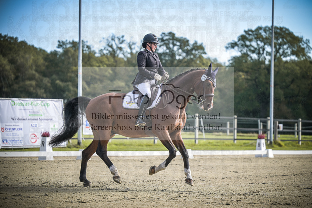 DOS_1044 | Entdecke hochwertige Reitturnierfotos von Foto Oger. Professionell, emotional und authentisch – jetzt Lieblingsmomente im Shop bestellen.Deutschlandweite Turnierfotografie. - Realisiert mit Pictrs.com