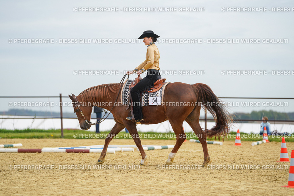 DSC03321 | Pferdegrafie