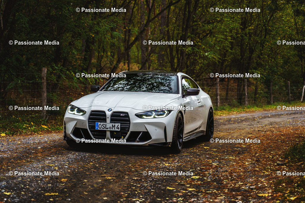 _DSC6114 | Passionate Media, dein Fotograf aus Brandenburg, Märkisch Oderland, im Bereich Motorsport, Autos und Motorräder sowie Events und auch Hunde. Shootings oder auch Eventbegleitungen können bei mir gebucht we