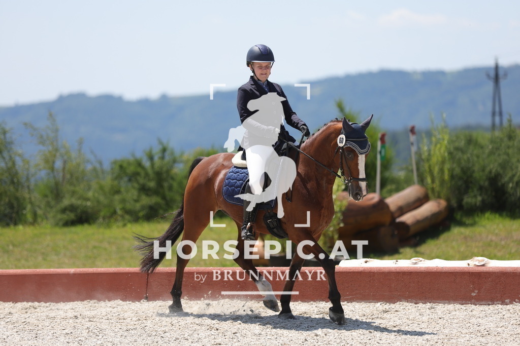 0P6A6330 | Willkommen bei Brunnmayr - Design & Fotografie – Ihrem Spezialisten für Reitturniere und Pferdeveranstaltungen in Oberösterreich, Salzburg und Bayern! Seit über 17 Jahren sind wir leidenschaftlich dabei.