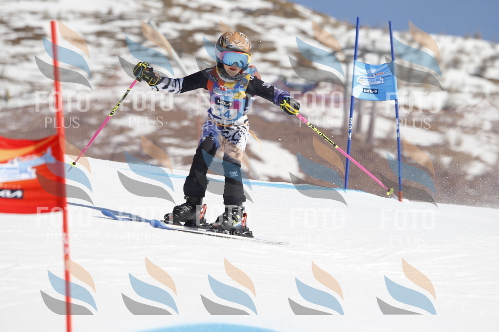 _U3G8730 | holidayphoto