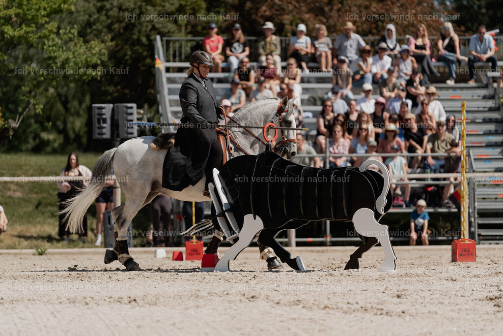 WE_SP_Stoib_321_PI2025_1581 | Pferd International München 2025