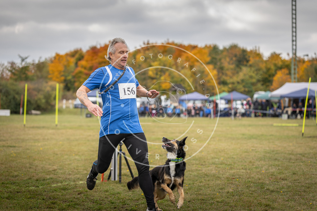 Pfotenfotografie_DV3A6538 | Hundefotografie, Tierfotograf, Pfotenfotografie, Fotoshooting Hund, Hunde Portrait, Hundesport, Hundeportraits, Heideshooting, Hunde, Sportfotograf, Hundefotograf, Turnierhundsport, THS,  - Realisiert mit Pictrs.com