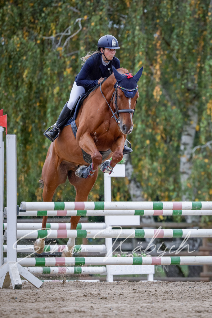 20251012-_3LI4571 | Tierfotografie Pferde, Hunde, Katzen, Haustiere.
Turnierfotografie Reitturniere, Reiten, Springreiten, Dressur in Hanau, dem Main-Kinzig-Kreis und dem Rhein-Main- Gebiet um Frankfurt