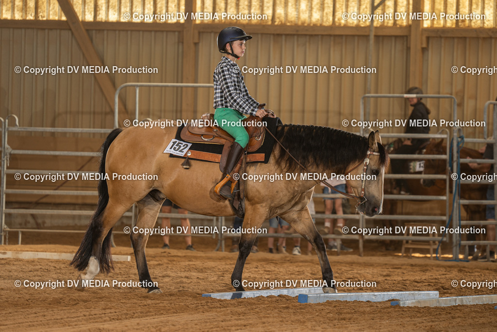 NID03563 | dv-media-shop - Realisiert mit Pictrs.com