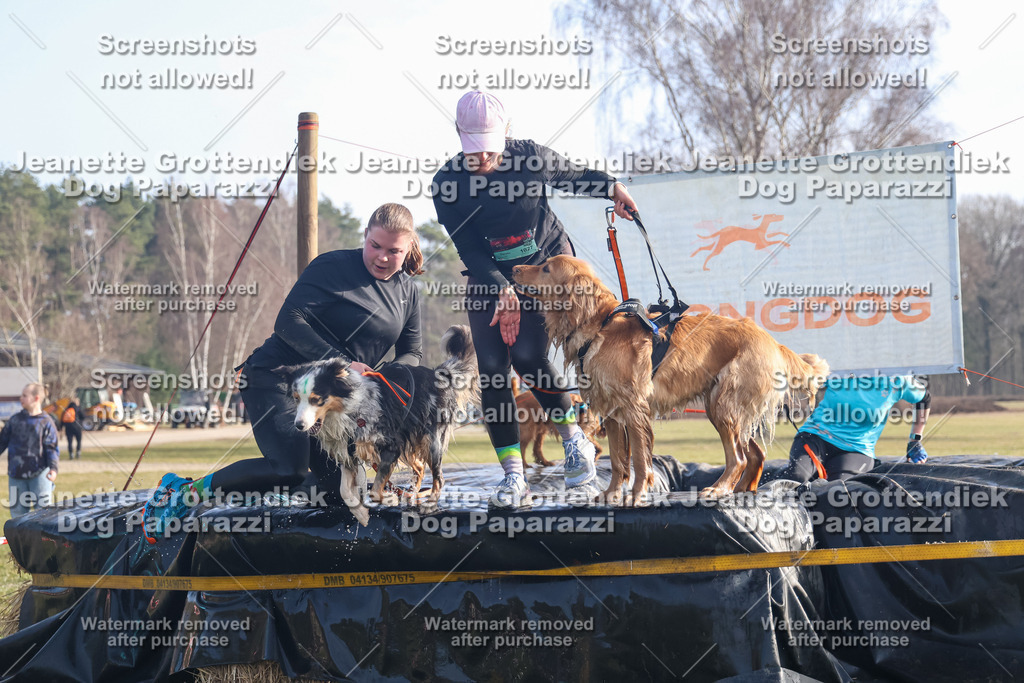 Dog Paparazzi - Strongdog North Mrz26-649 | Dog Paparazzi Jeanette Grottendiek Fotografie & Videografie - Realisiert mit Pictrs.com