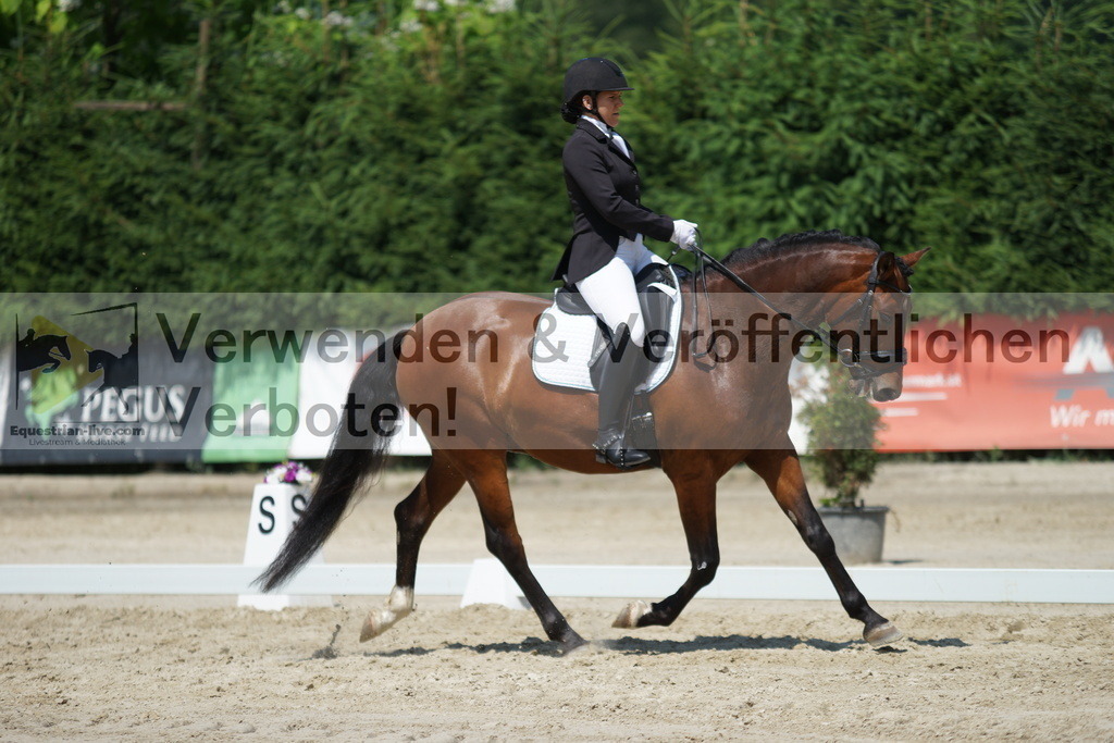 DSC01683 | equestrian-live-com