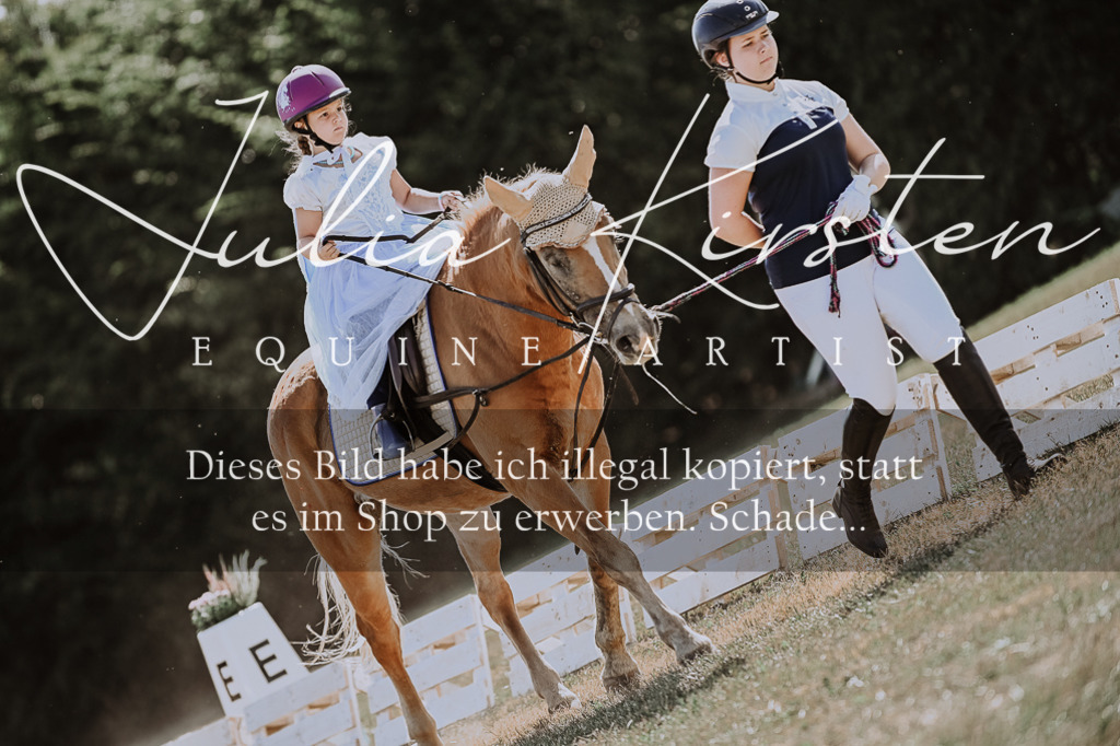 DSC_8919 | Pferde- und Turnierfotografie in Westsachsen. Pferdeportraits, Auftragszeichnungen und intuitive Kunst.