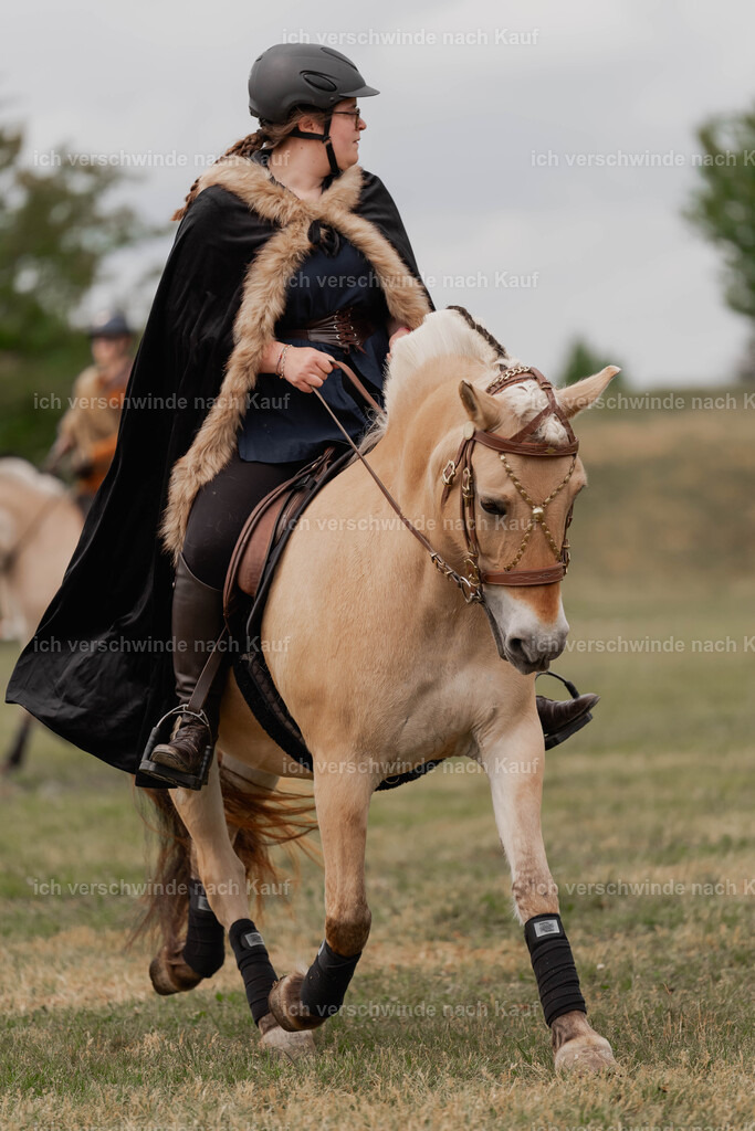 Showprogramm-335 | working equitationturnier fotograf videograf stoibphotography marixx film working equitation deutschland reitsport turnierfotografie eventfotografie equestrian events