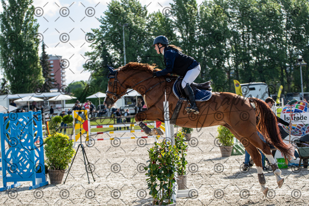 KPT_4635 | andre_photographic