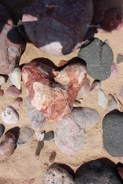 IMG_2894 | Raphael - Realisiert mit Pictrs.com