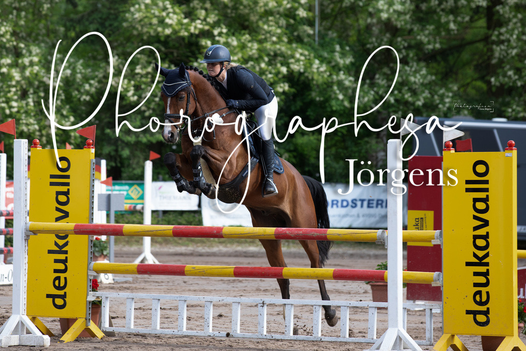 IMG_9044 | photographesa-joergens - Realisiert mit Pictrs.com