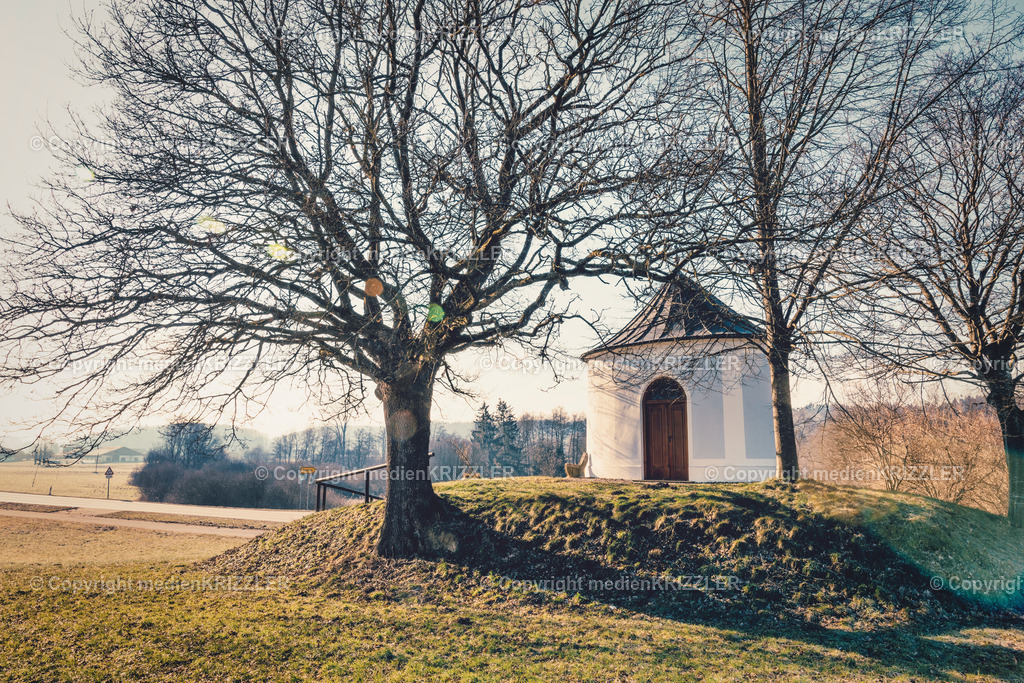 _J3A0143 | medienkrizzler - Realisiert mit Pictrs.com