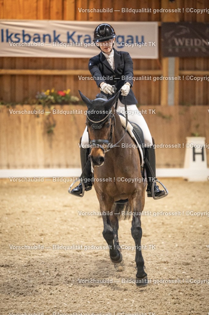 _D5A9999 | Emotionale Pferde- & People-Fotografie rund um Heidelberg, Leimen & Umgebung. Natürliche Fotos von Pferd, Mensch & Familie. Jetzt Termin sichern!