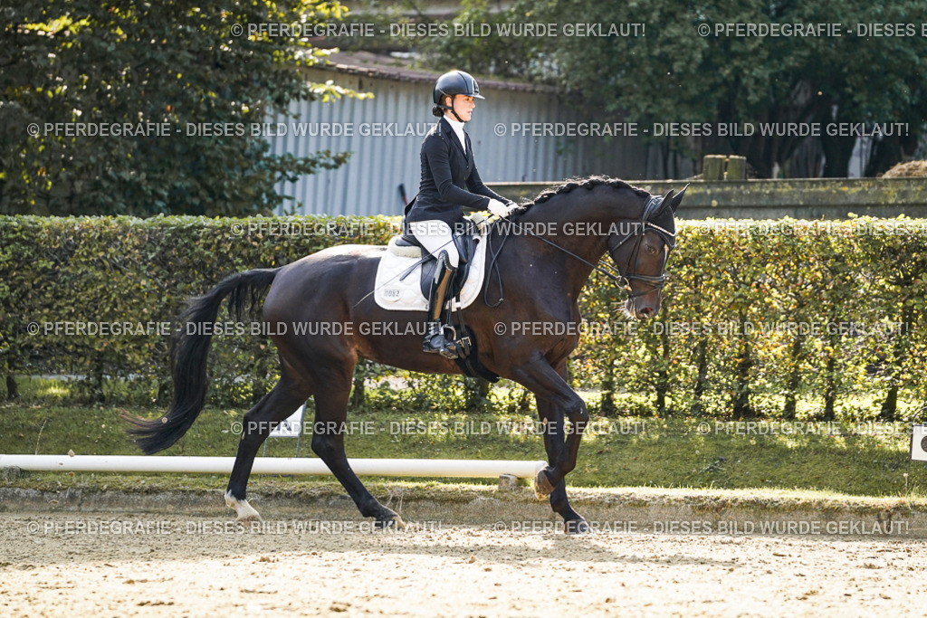 DSC05574 | Pferdegrafie