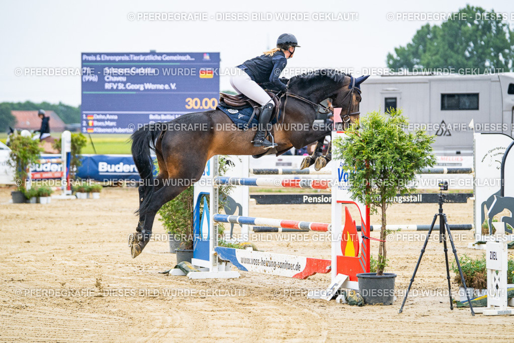 DSC08895 | Pferdegrafie