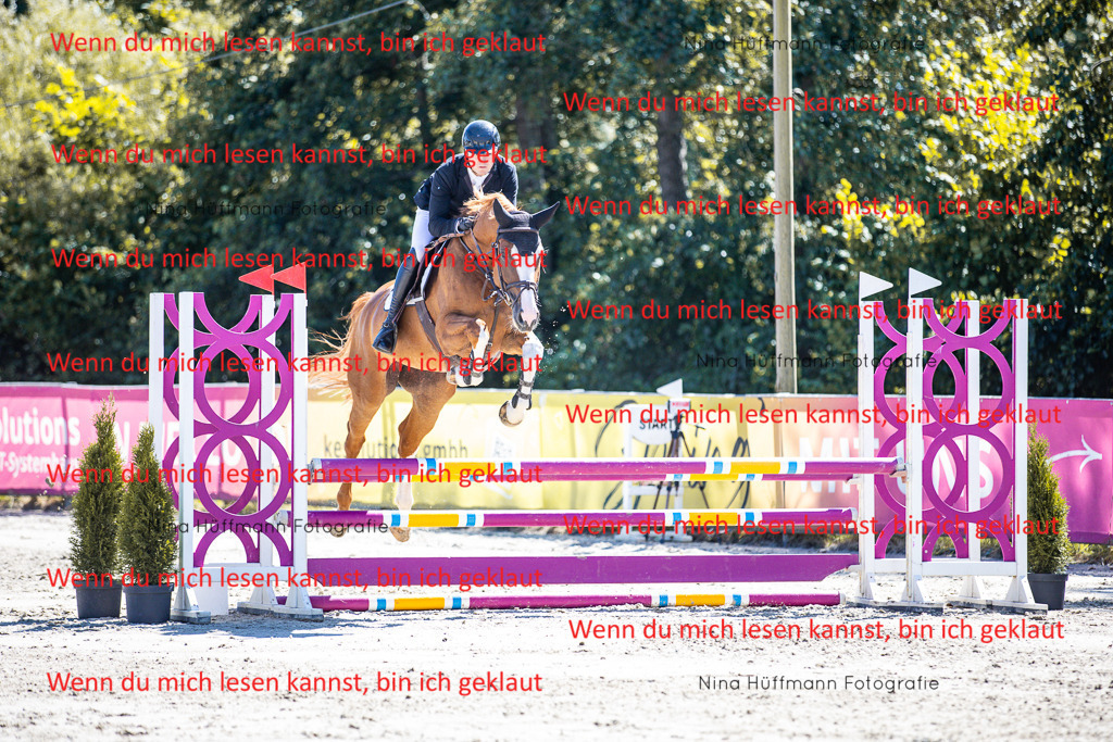 BK1A5479 | Turnierbilder Turnierfotos Nina Hüffmann Turnierfotografie Pferdefotografie Tierzeichnung Haustierzeichnung Pferdezeichnung Hundezeichnung Videograf  - Realisiert mit Pictrs.com