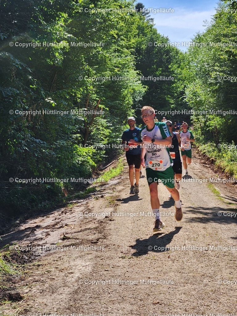 5c449c8f-3e90-4ae2-bbad-633221aa3f14 | Hüttlinger Muffigelläufe - Realisiert mit Pictrs.com
