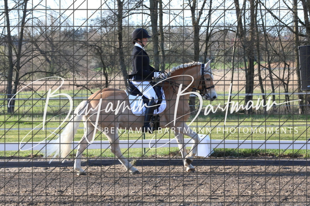 AZ2A5518 | Benjamin Bartmann Photomoments