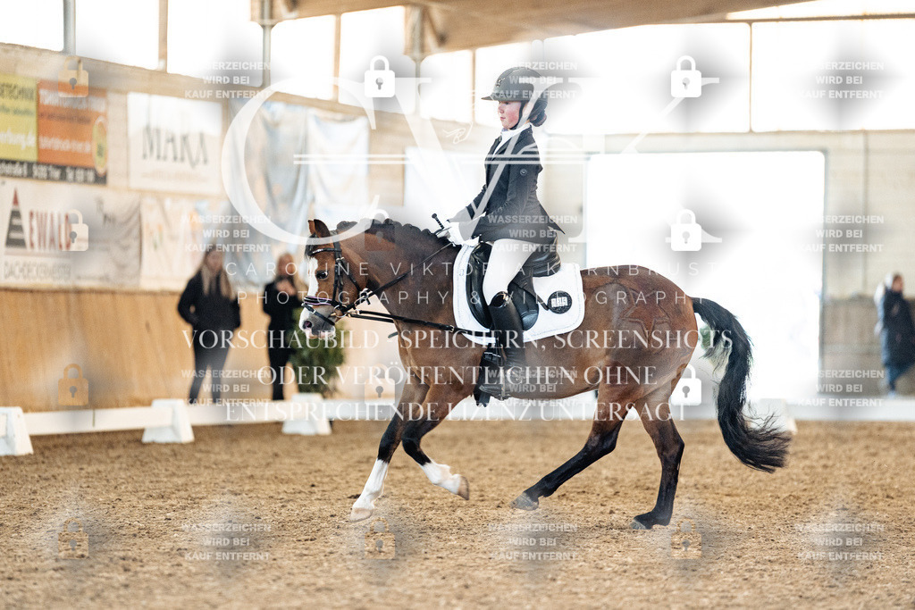 CK907556 | Turnierfotografie Pferdefotografie Trier Rheinland-Pfalz Pferdesport Reitsport Tierfotografie Sportfotografie Pferdevideo Pferdevideografie Equestrianvideography equestrianphotography  - Realisiert mit Pictrs.com
