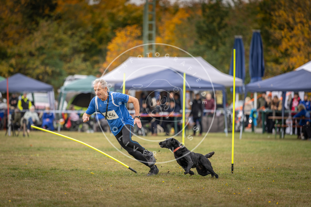 Pfotenfotografie_DV3A5688 | Hundefotografie, Tierfotograf, Pfotenfotografie, Fotoshooting Hund, Hunde Portrait, Hundesport, Hundeportraits, Heideshooting, Hunde, Sportfotograf, Hundefotograf, Turnierhundsport, THS,  - Realisiert mit Pictrs.com