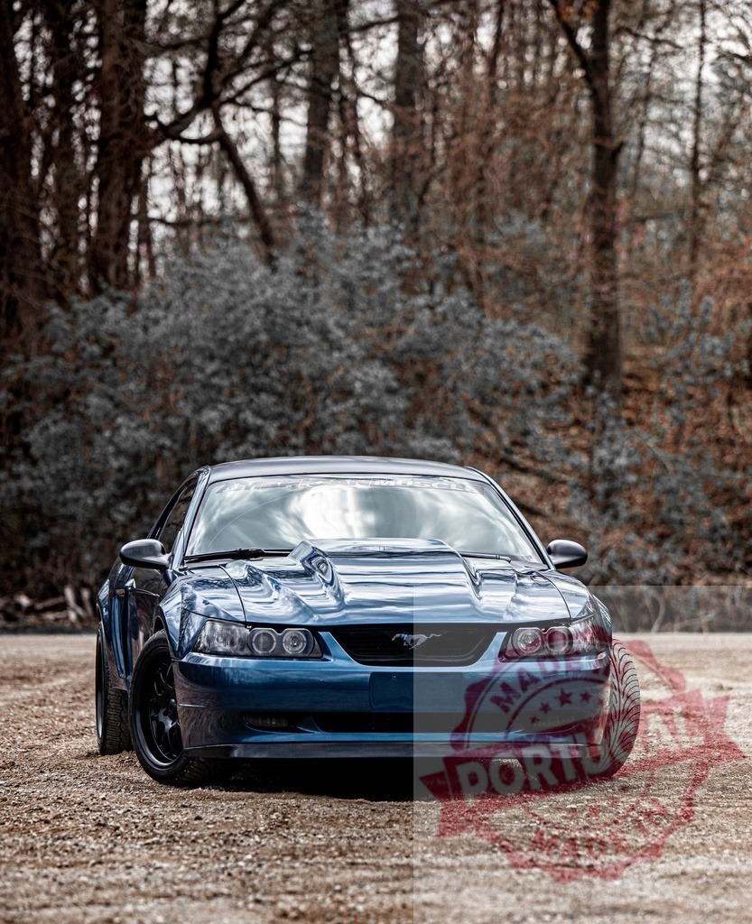 Ford Mustang parked on a dirt road in woods | Blue Ford Mustang muscle car standing outdoors in a natural woody environment - Realized with Pictrs.com