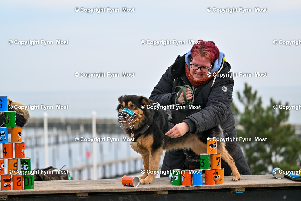 DSC_4289 | Hallo und herzlich Willkommen auf meiner Shop-Seite Fynn Most.

Ich wünsche Dir viel Spaß beim stöbern durch die Bilder, wenn Du Fragen hast oder Bilder vermisst, kannst du mir gerne eine Nachricht schreiben. - Realisiert mit Pictrs.com