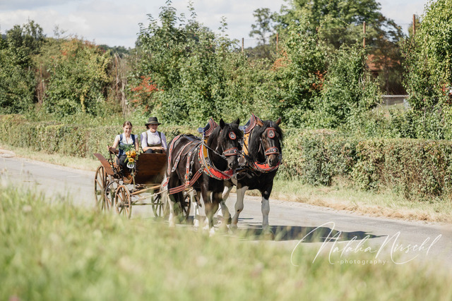 7V6A2567 | natalia-nirschl-photography