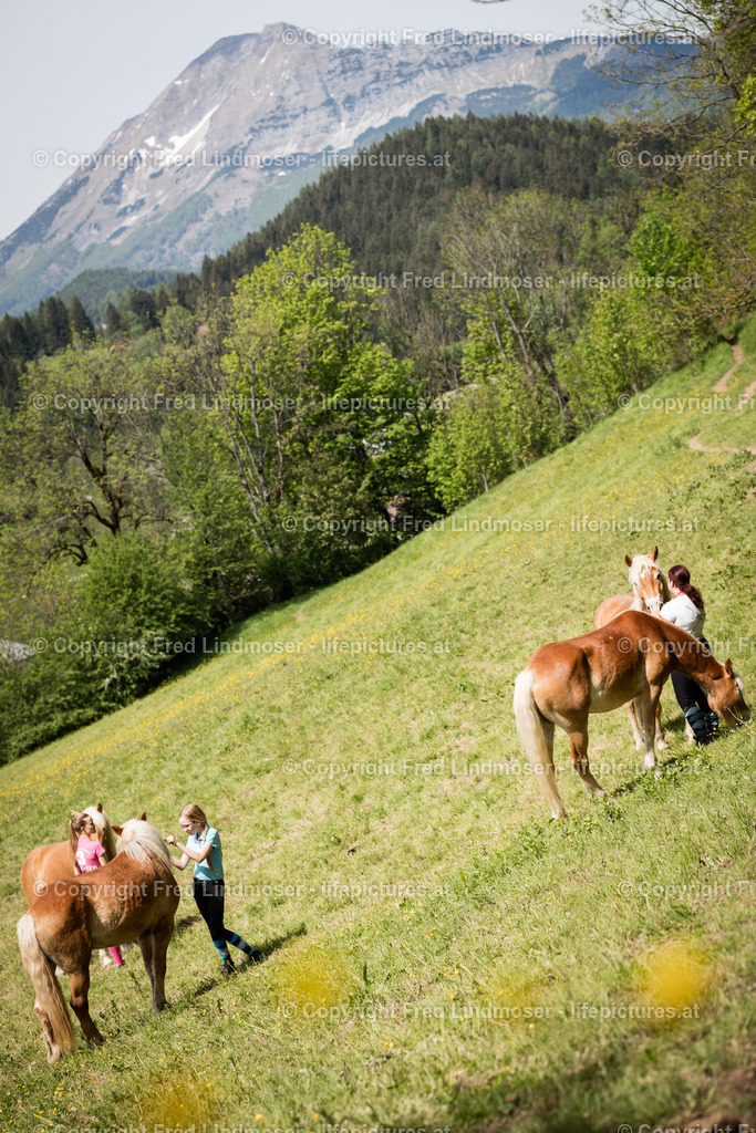 Otscher  (64) | Fotos und Fotoprodukte - Realisiert mit Pictrs.com