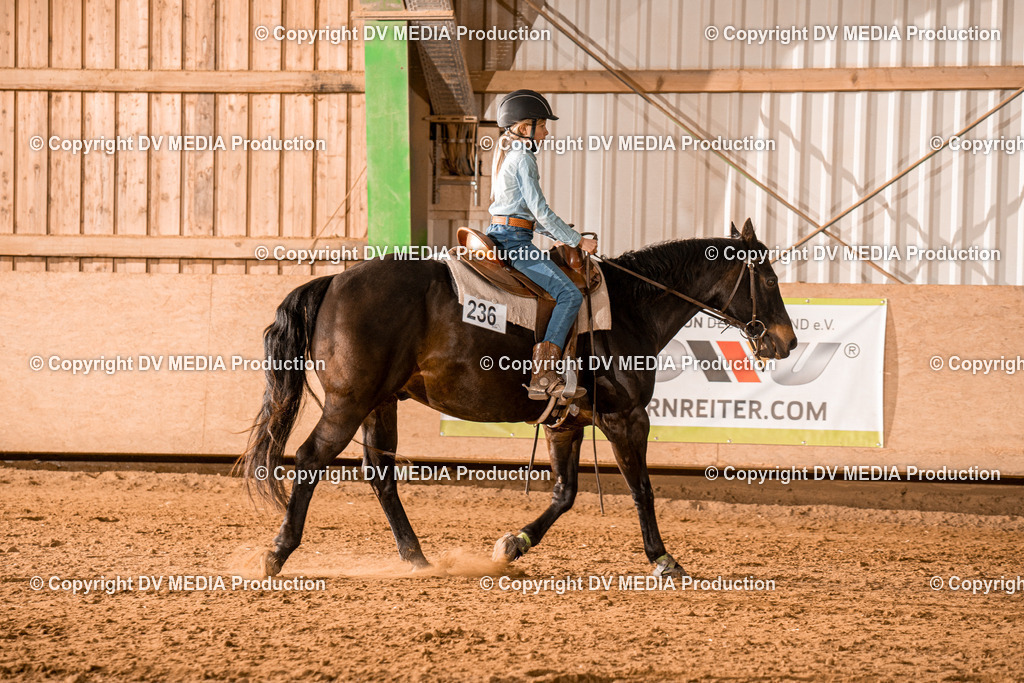 BAL02992 | dv-media-shop - Realisiert mit Pictrs.com