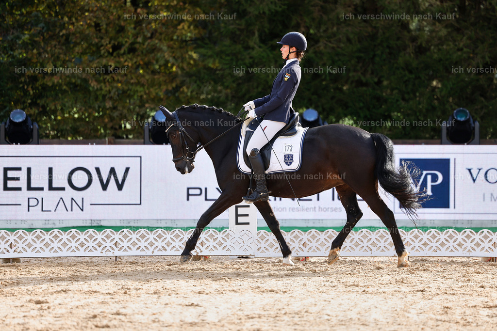 02-173-DRESSUR L_  -StoibPH-4744 | working equitationturnier fotograf videograf stoibphotography marixx film working equitation deutschland reitsport turnierfotografie eventfotografie equestrian events
