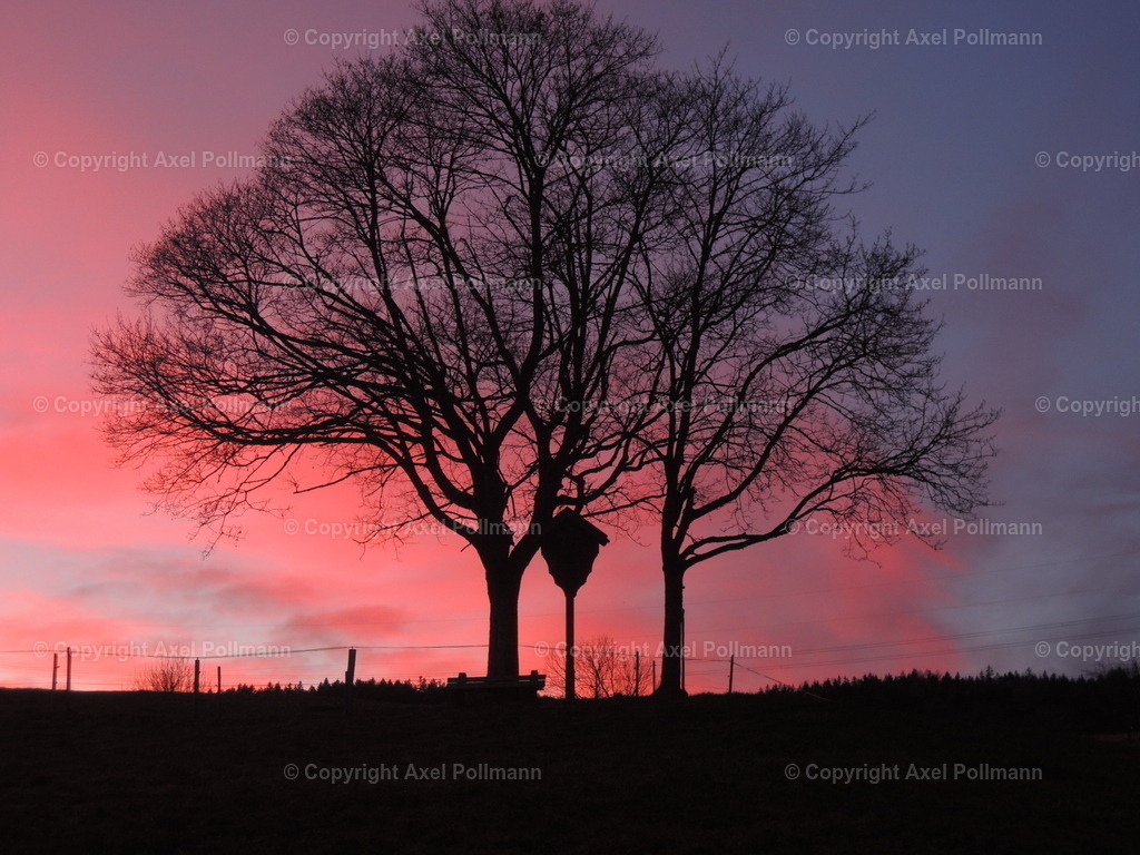 103-DSCN3353 | fotografiert von Axel PollmannLeonhardi Wallfahrt Benediktbeuern und Murnau, Fronleichnam, Fasching, Landschaft im Loisachtal und Benediktbeuern  - Realisiert mit Pictrs.com
