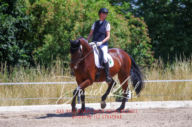 DKP46279 | Turniersportfotografie; Pferdefotografie; Dressurfotografie