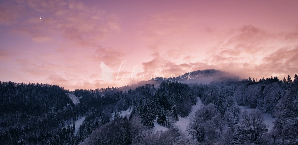 Natur_00021 | Sportbilder, Sportfotograf, Hochzeits- und Eventfotografin, Flugshows, Portraits und Tiershooting, Aviation, Downhill, Nationalleague, Swissleague, International