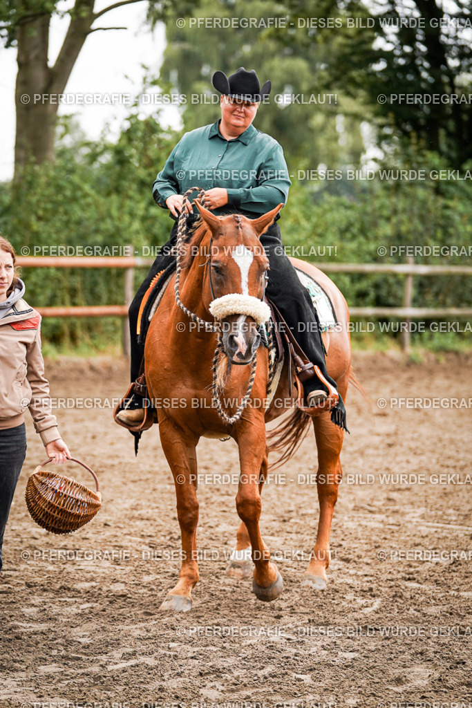 DSC04835 | Pferdegrafie