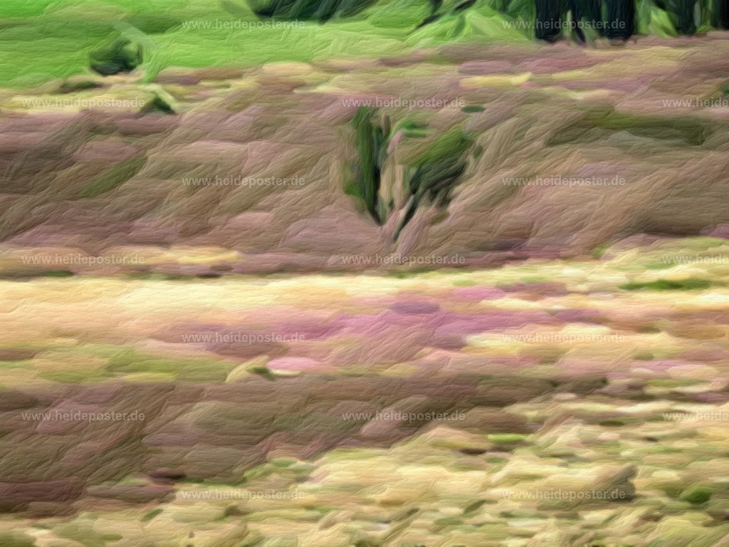 brushed_DSCN5024 | Poster aus der Lüneburger Heide - Realisiert mit Pictrs.com